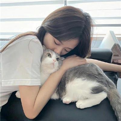 蛇蝎美人第二季